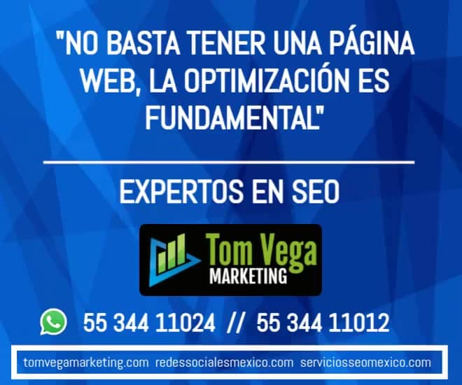 paginas web guadalajara