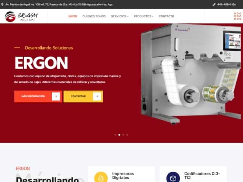 paginas web profesionales Guadalajara